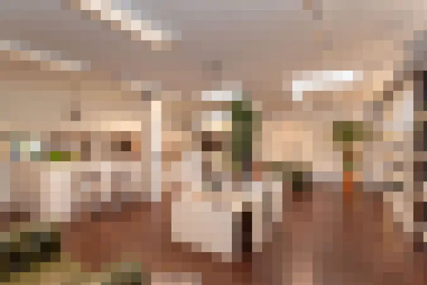 Grotestraat 7 a Almelo thumbnail 34