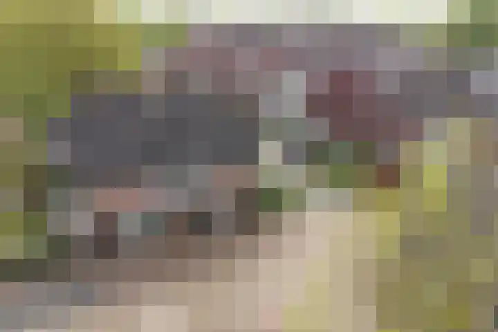 Grotestraat 73 A Gendringen thumbnail 4