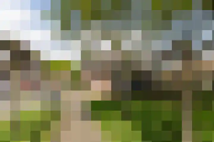 Grotestraat 73 A Gendringen thumbnail 43