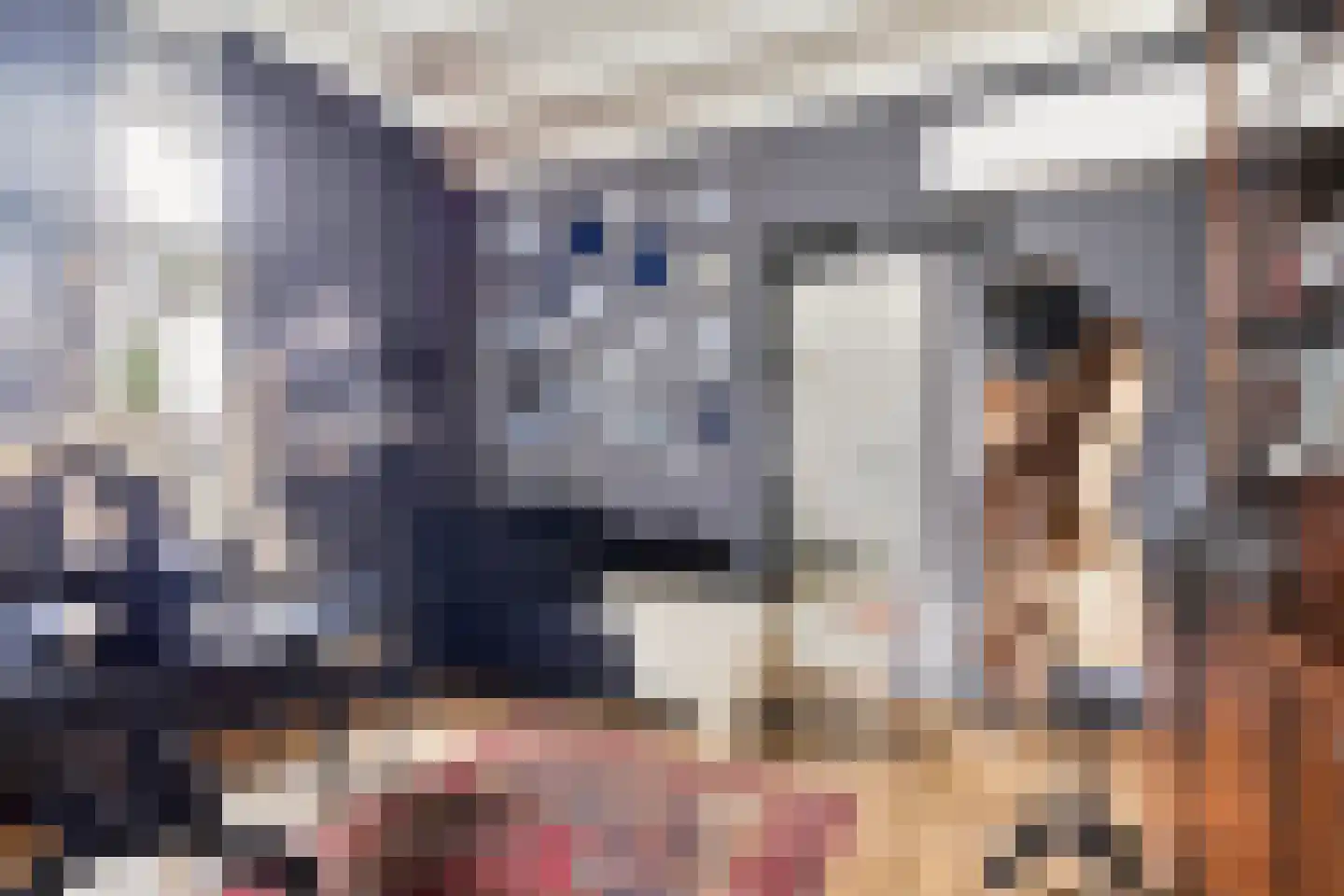 Grotestraat 8 Baarlo thumbnail 13