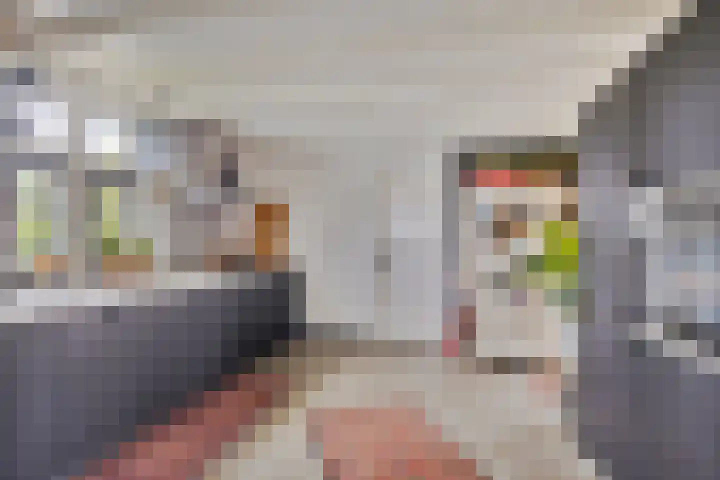 Grotestraat 8 Baarlo thumbnail 14