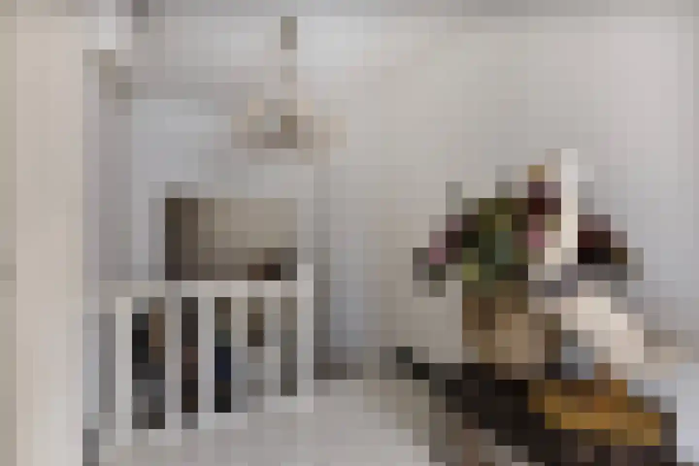 Grotestraat 8 Baarlo thumbnail 23