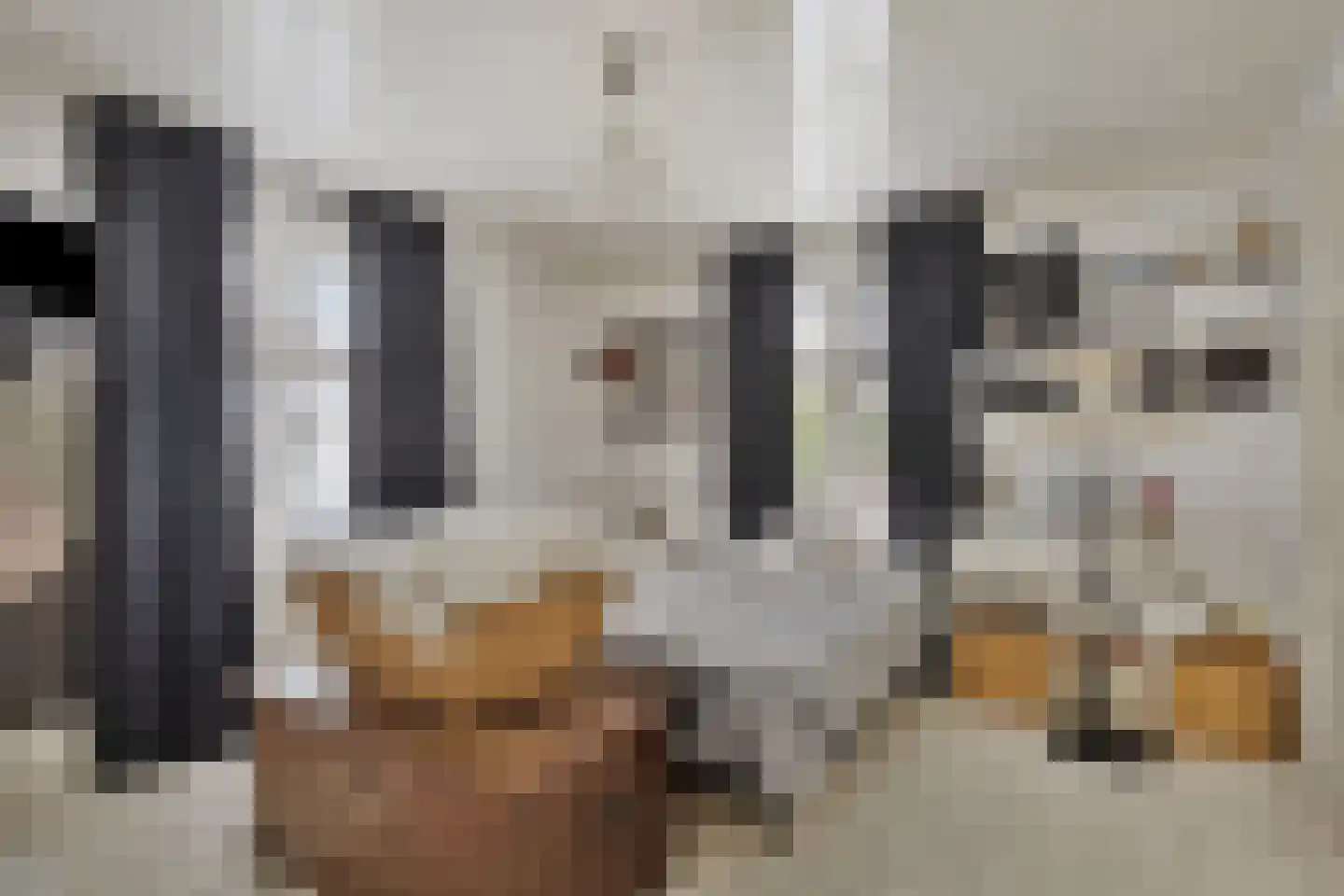 Grotestraat 8 Baarlo thumbnail 24