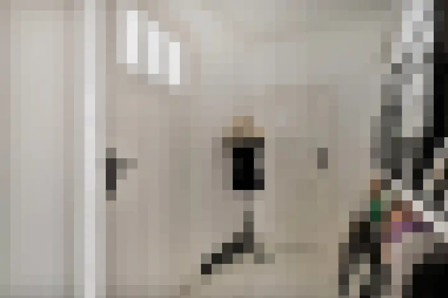 Grotestraat 8 Baarlo thumbnail 25