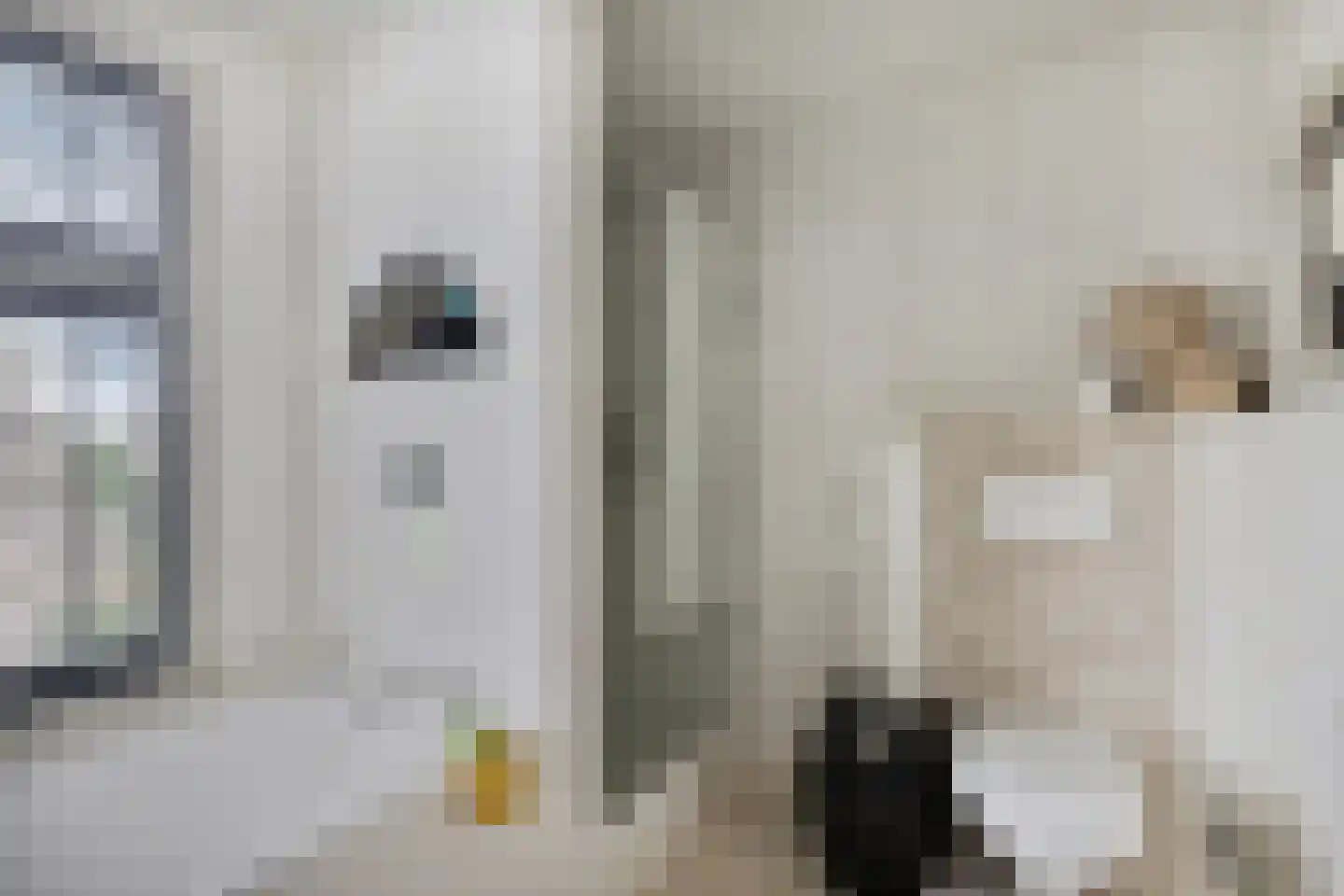 Grotestraat 8 Baarlo thumbnail 27