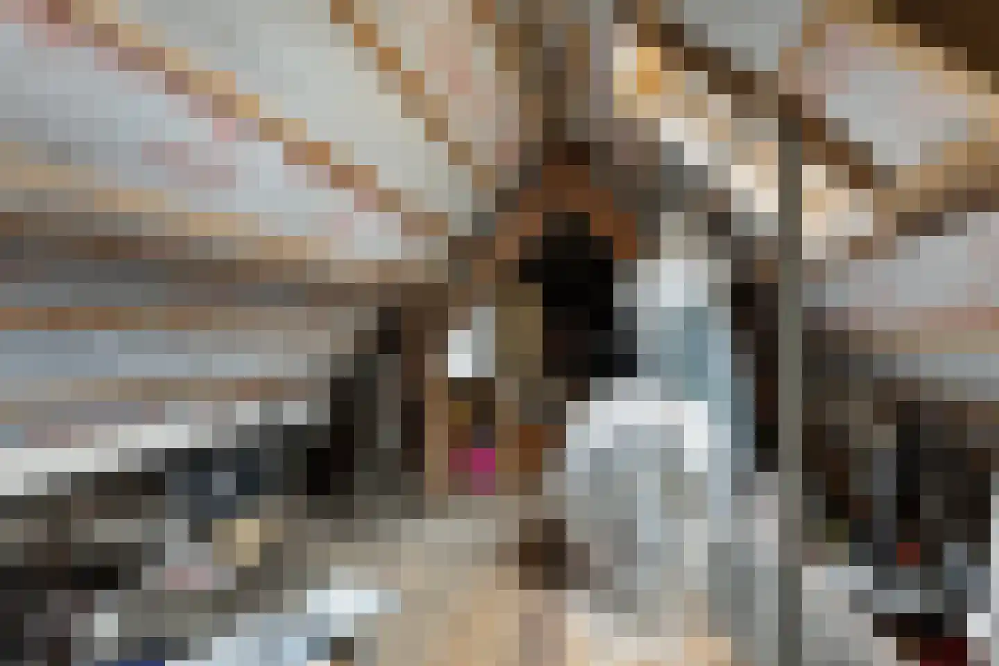Grotestraat 8 Baarlo thumbnail 29