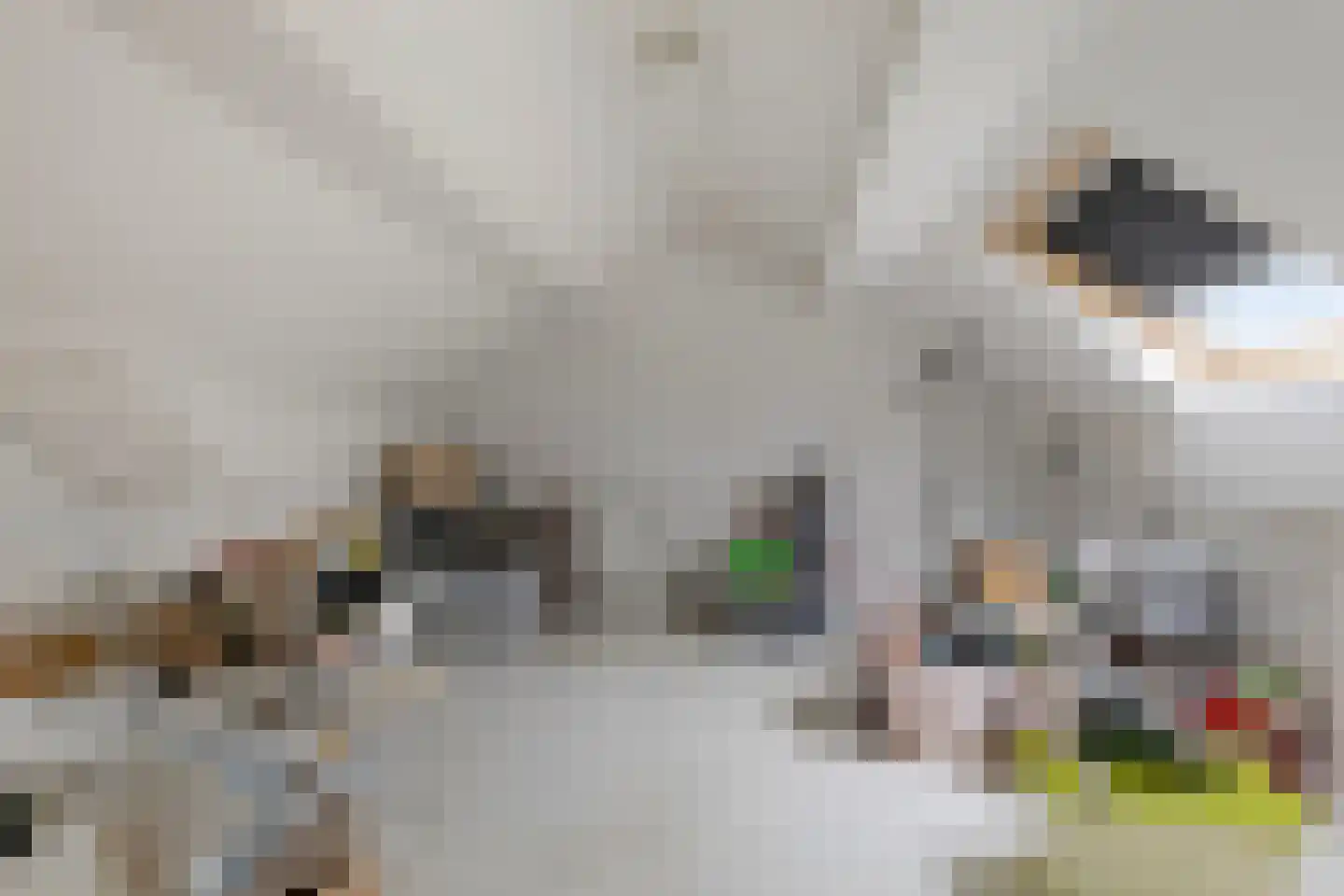 Grotestraat 8 Baarlo thumbnail 31