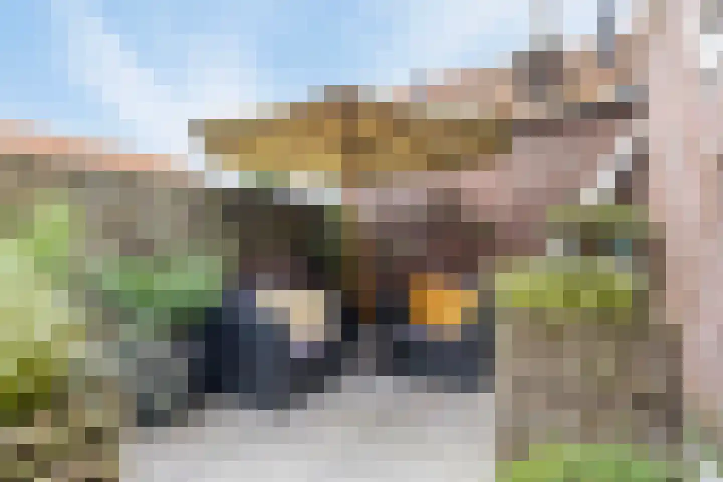 Grotestraat 8 Baarlo thumbnail 4