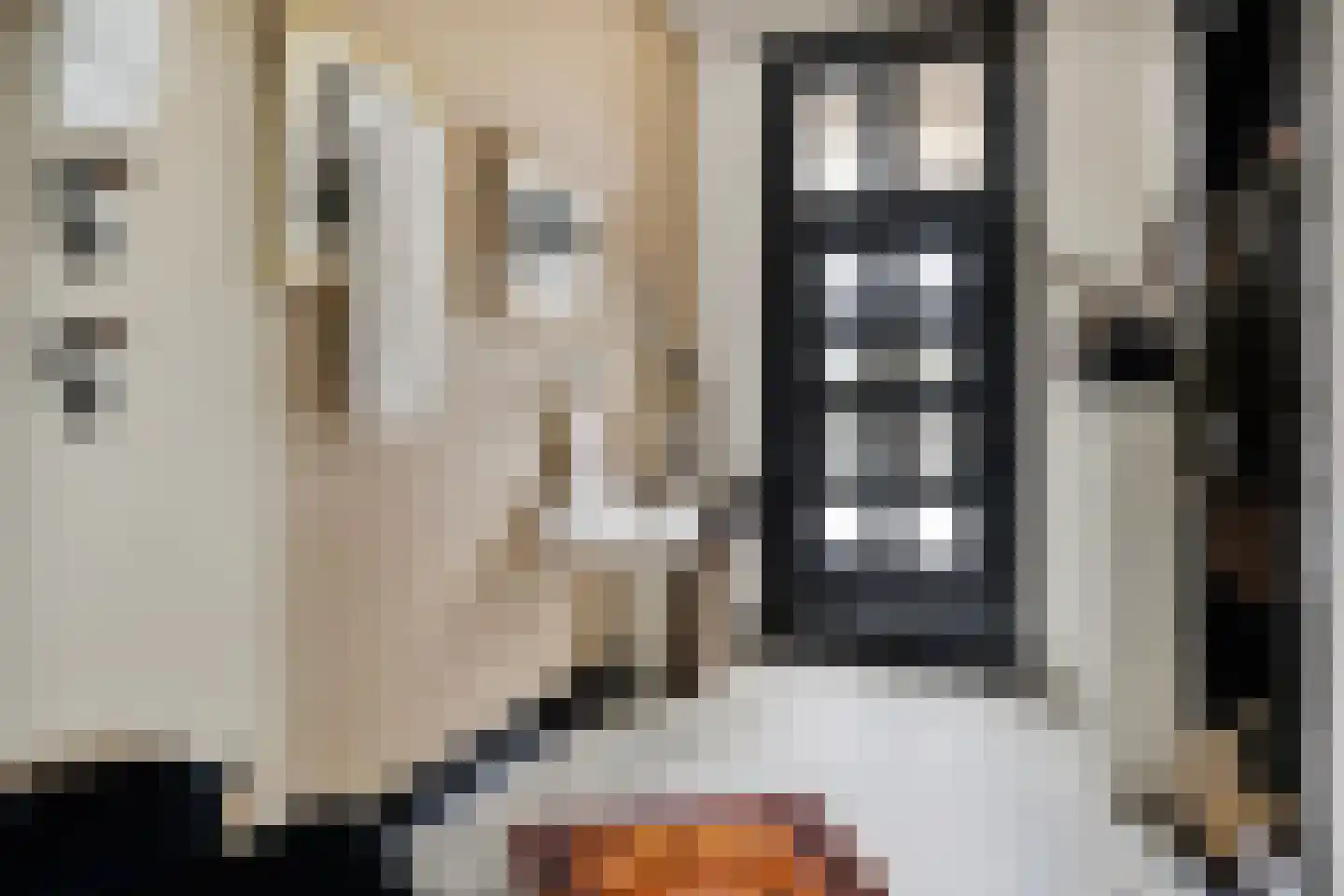Grotestraat 8 Baarlo thumbnail 5