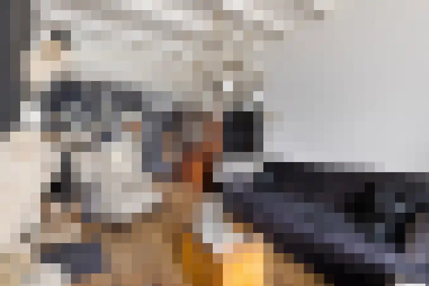 Grotestraat 8 Baarlo thumbnail 9