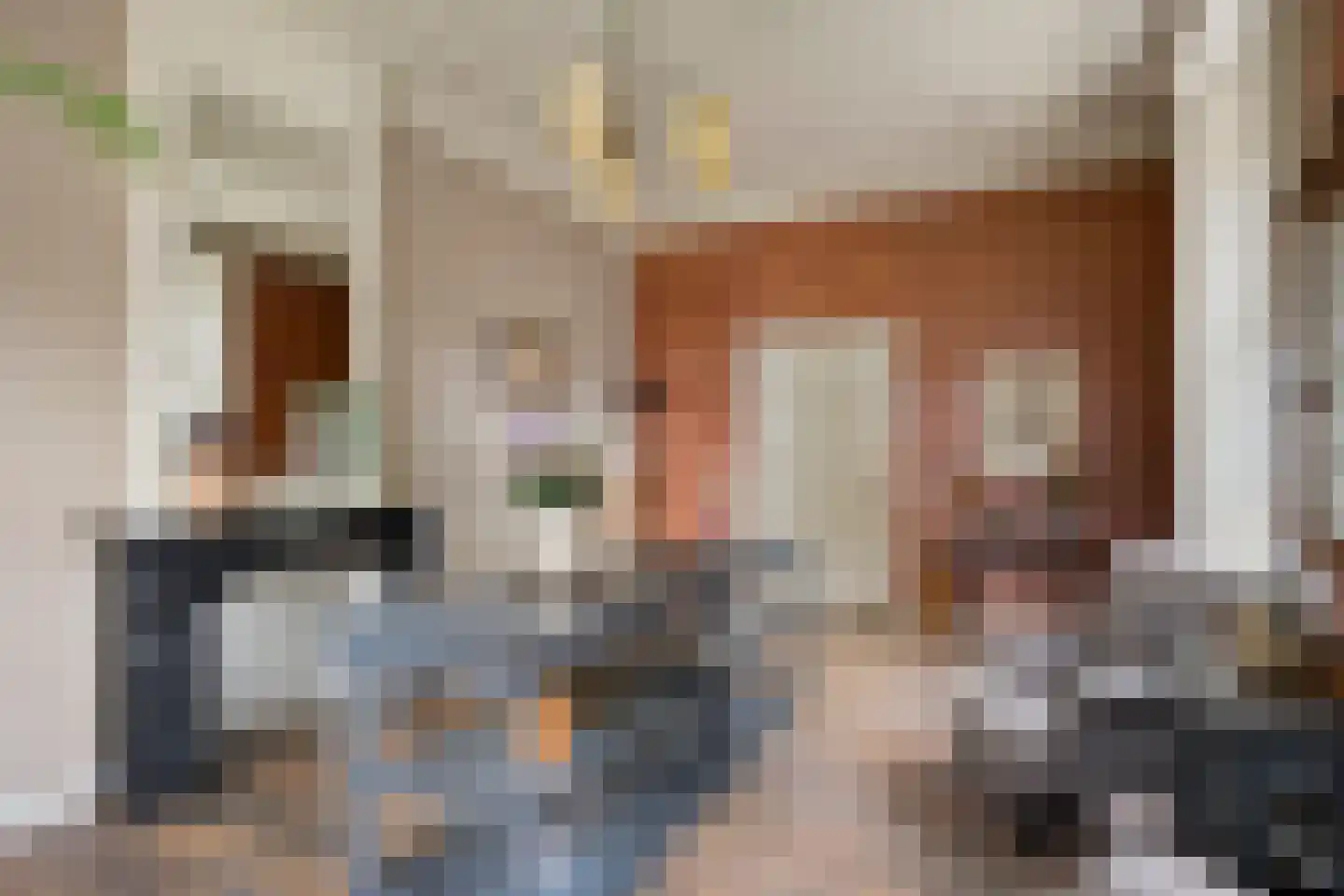 Grotestraat 8 Beers NB thumbnail 12