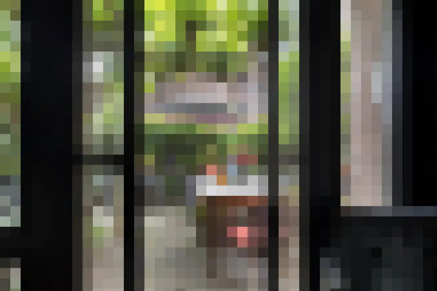 Grotestraat 8 Beers NB thumbnail 20