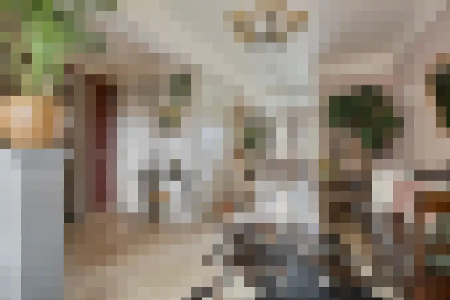 Grotestraat 8 Beers NB thumbnail 21