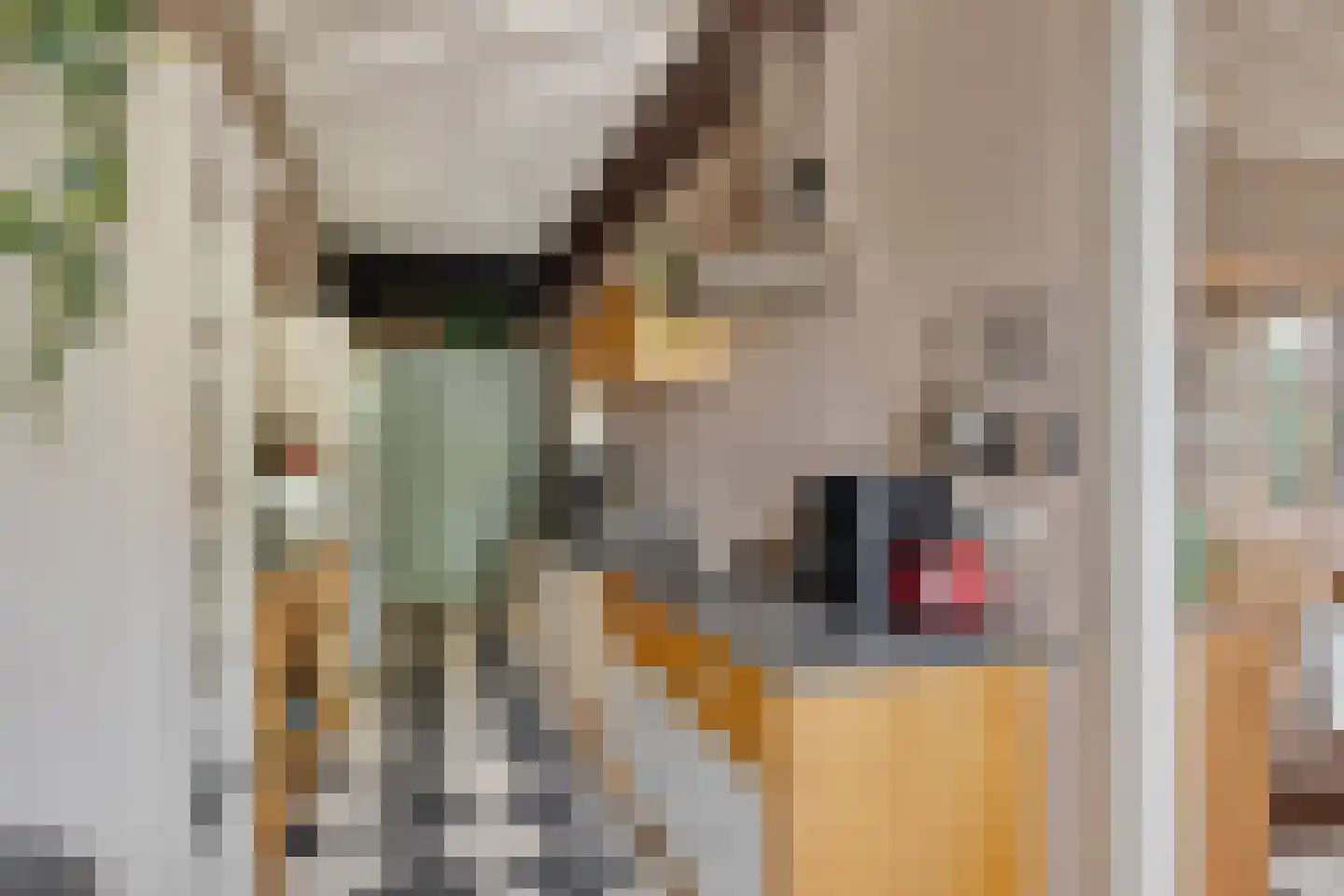 Grotestraat 8 Beers NB thumbnail 28
