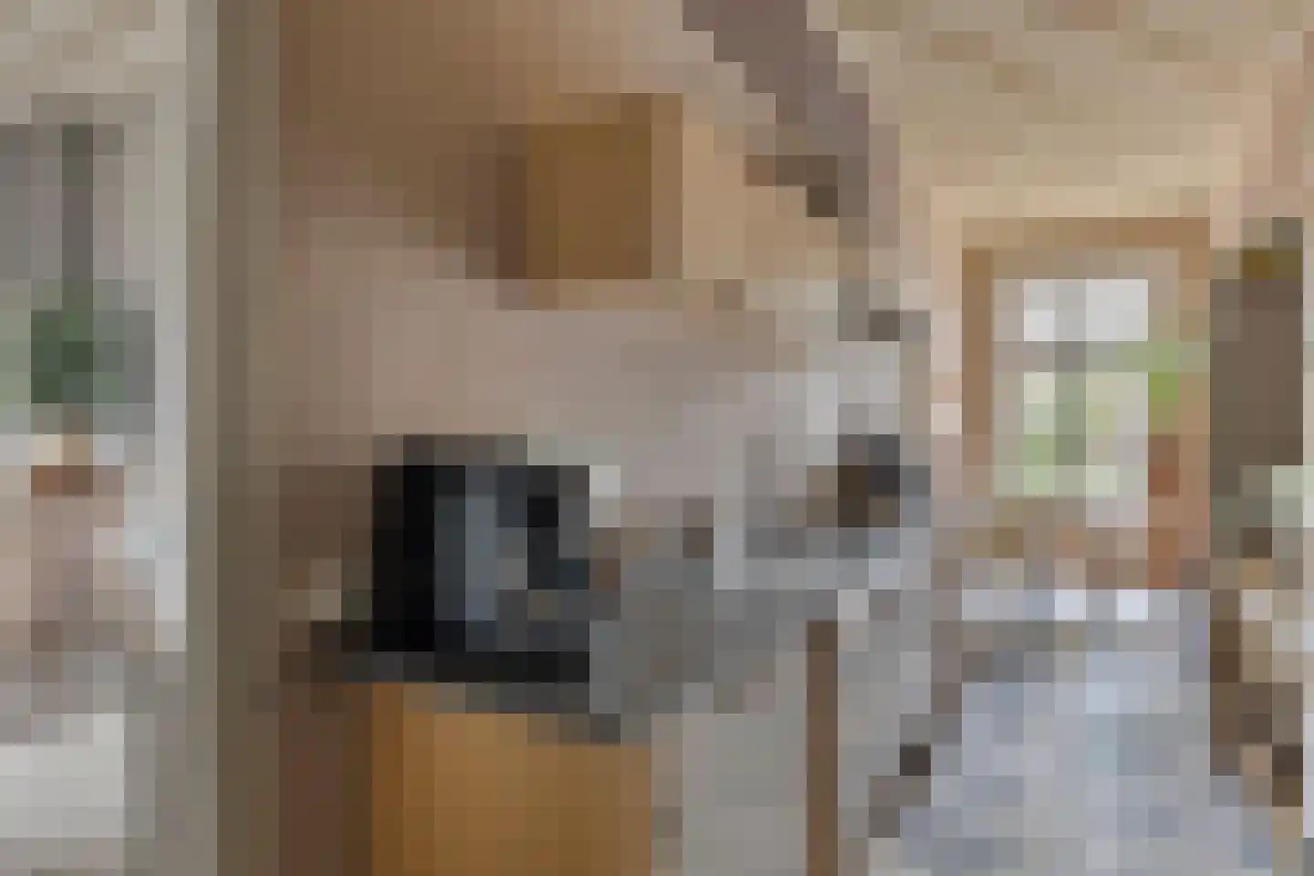 Grotestraat 8 Beers NB thumbnail 29