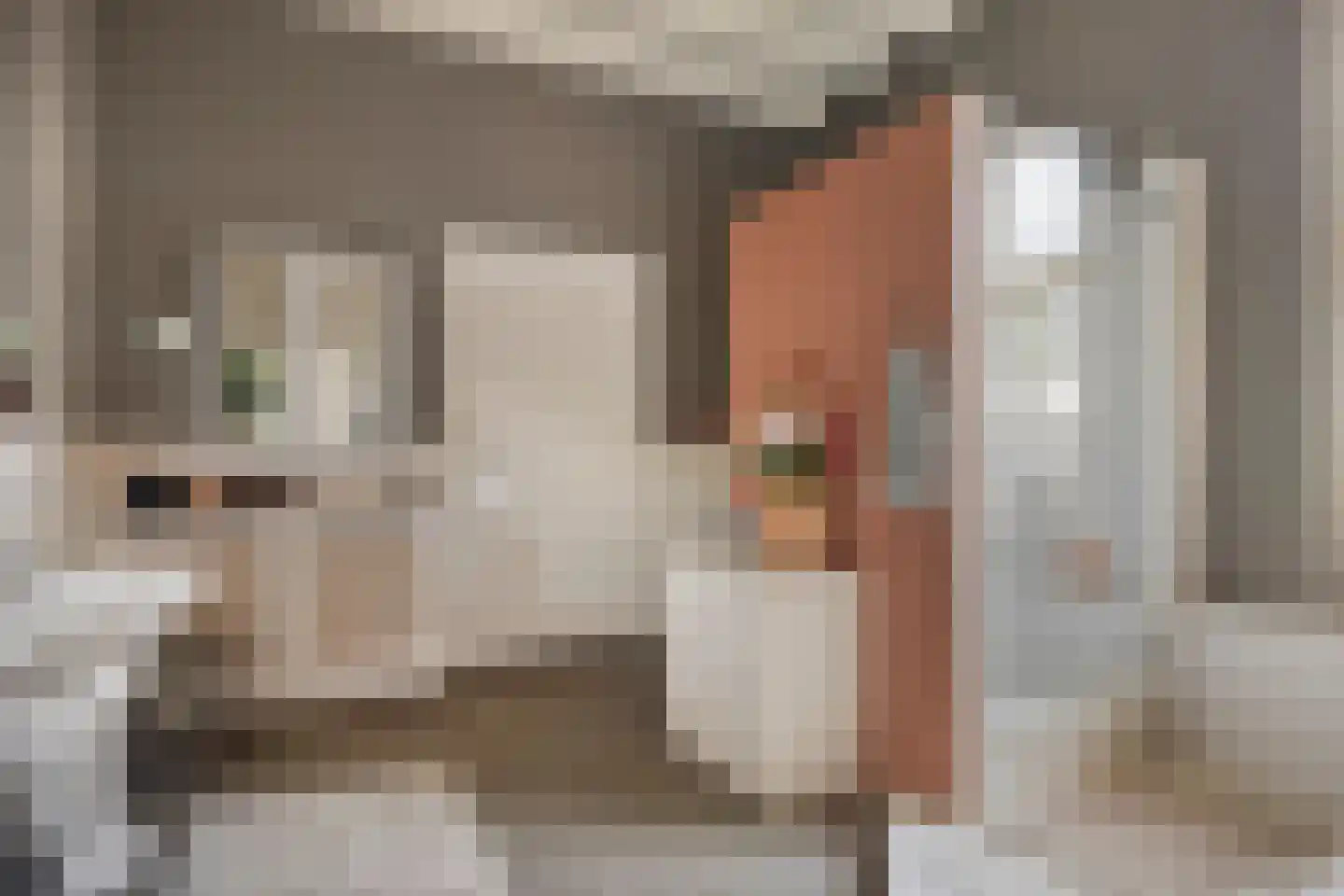 Grotestraat 8 Beers NB thumbnail 32