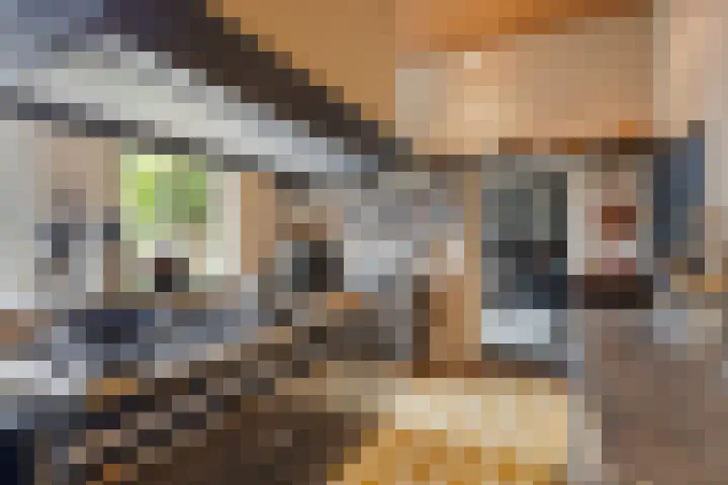Grotestraat 8 Beers NB thumbnail 5