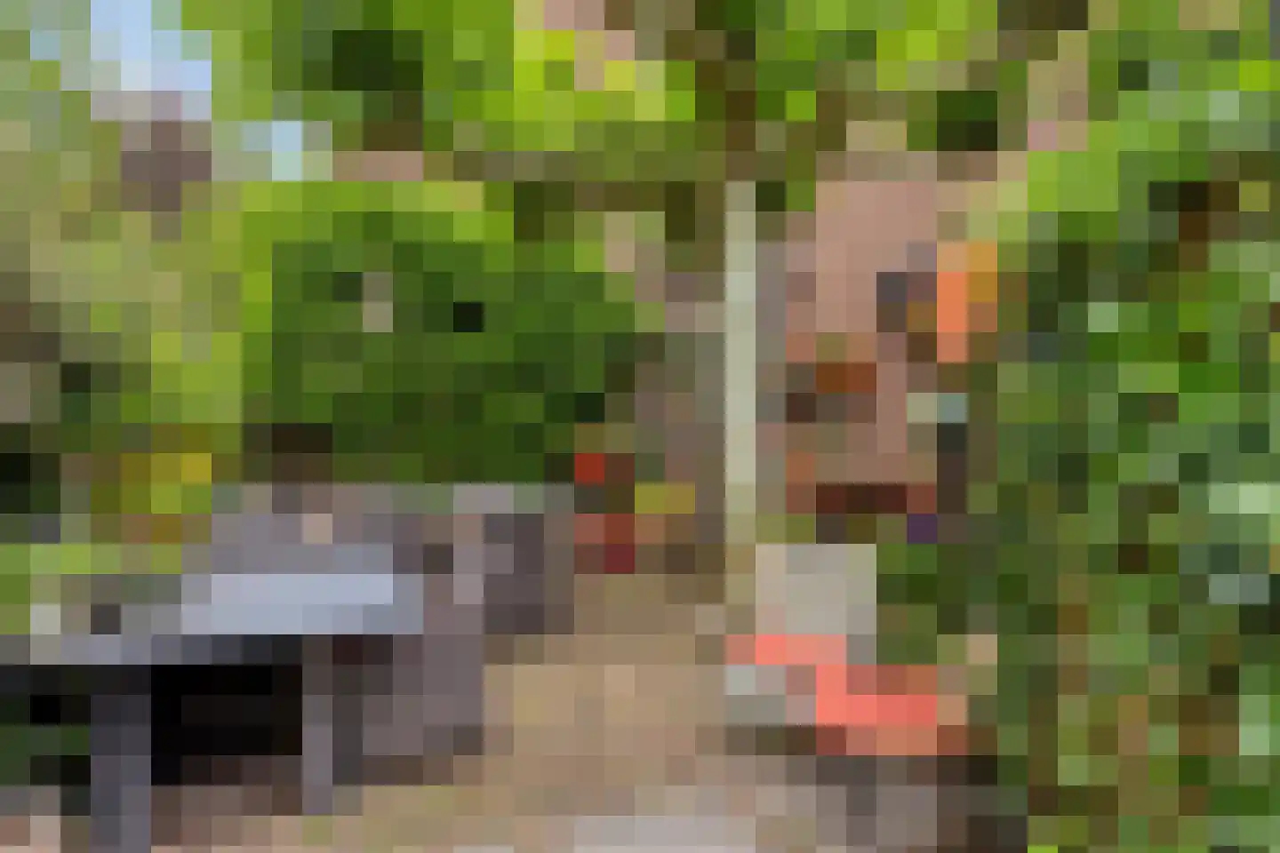 Grotestraat 8 Beers NB thumbnail 6