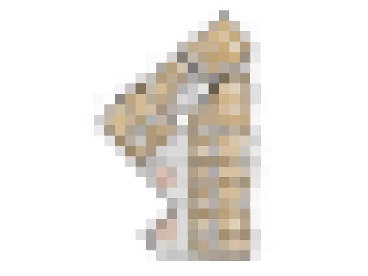 Grotestraat 8 Rijssen thumbnail 5