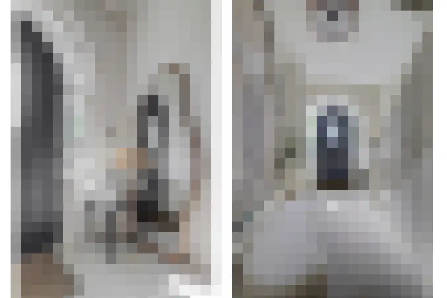 Grotestraat 81 Cuijk thumbnail 20