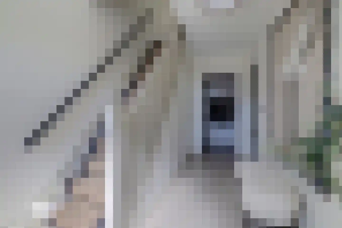 Grotestraat 81 Cuijk thumbnail 21