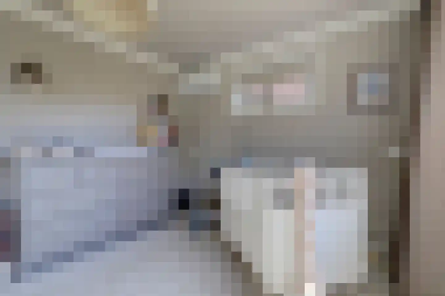 Grotestraat 81 Cuijk thumbnail 46