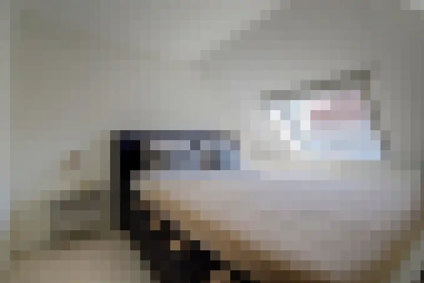 Grotestraat 81 Cuijk thumbnail 54