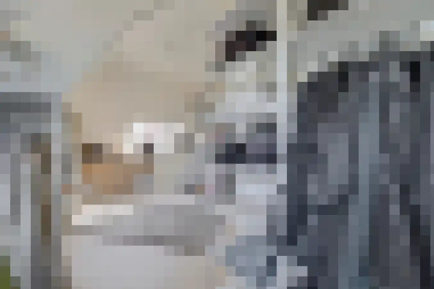 Grotestraat 81 Cuijk thumbnail 58