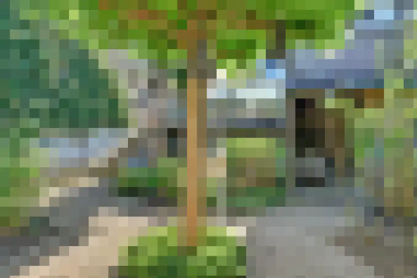 Grotestraat 81 Cuijk thumbnail 65