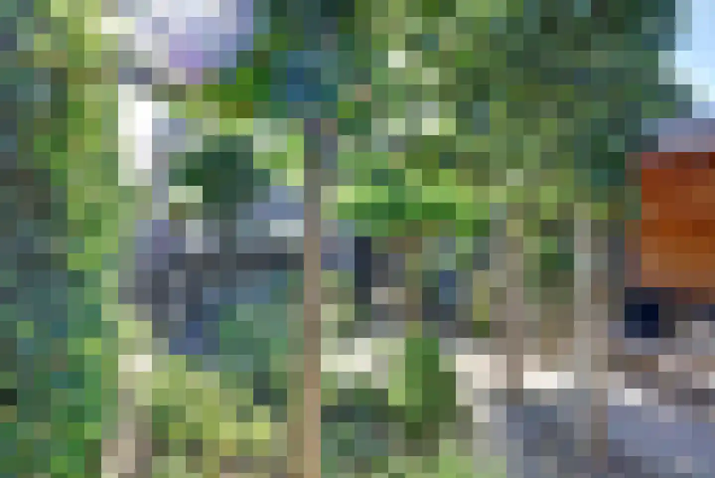 Grotestraat 81 Cuijk thumbnail 67