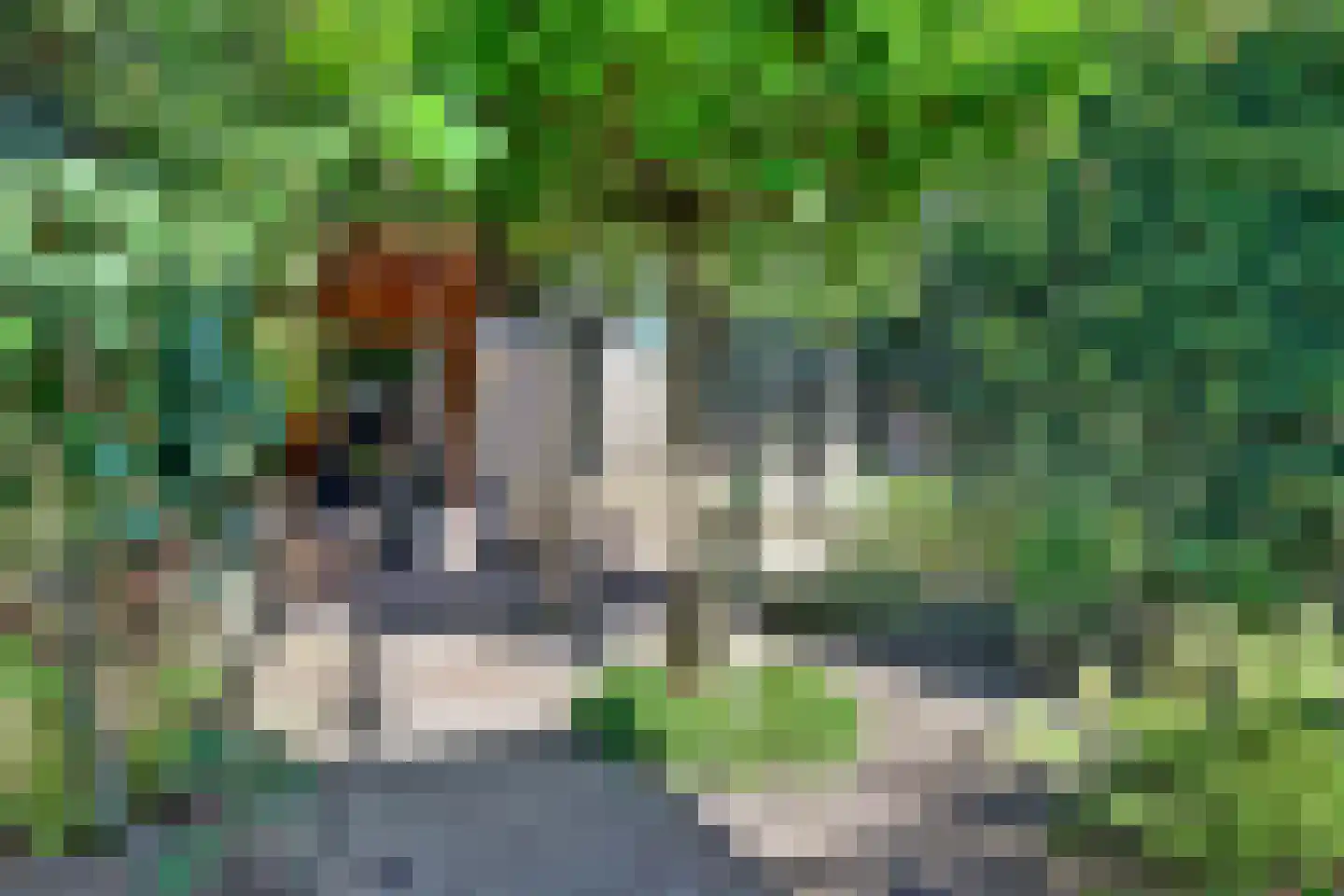 Grotestraat 81 Cuijk thumbnail 68