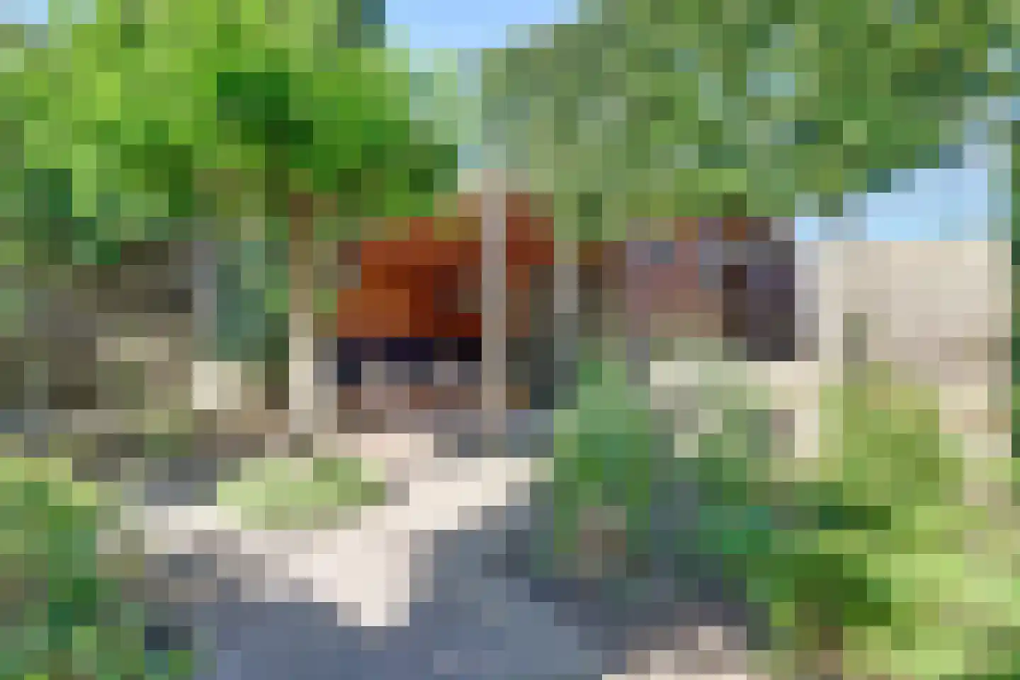Grotestraat 81 Cuijk thumbnail 69