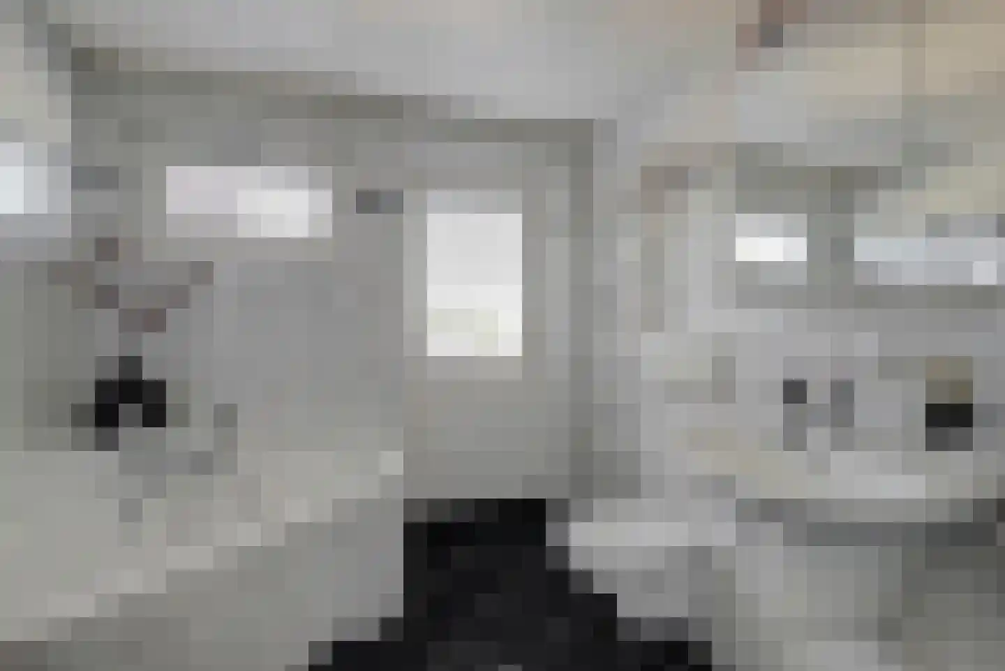Grotestraat 81 Cuijk thumbnail 7