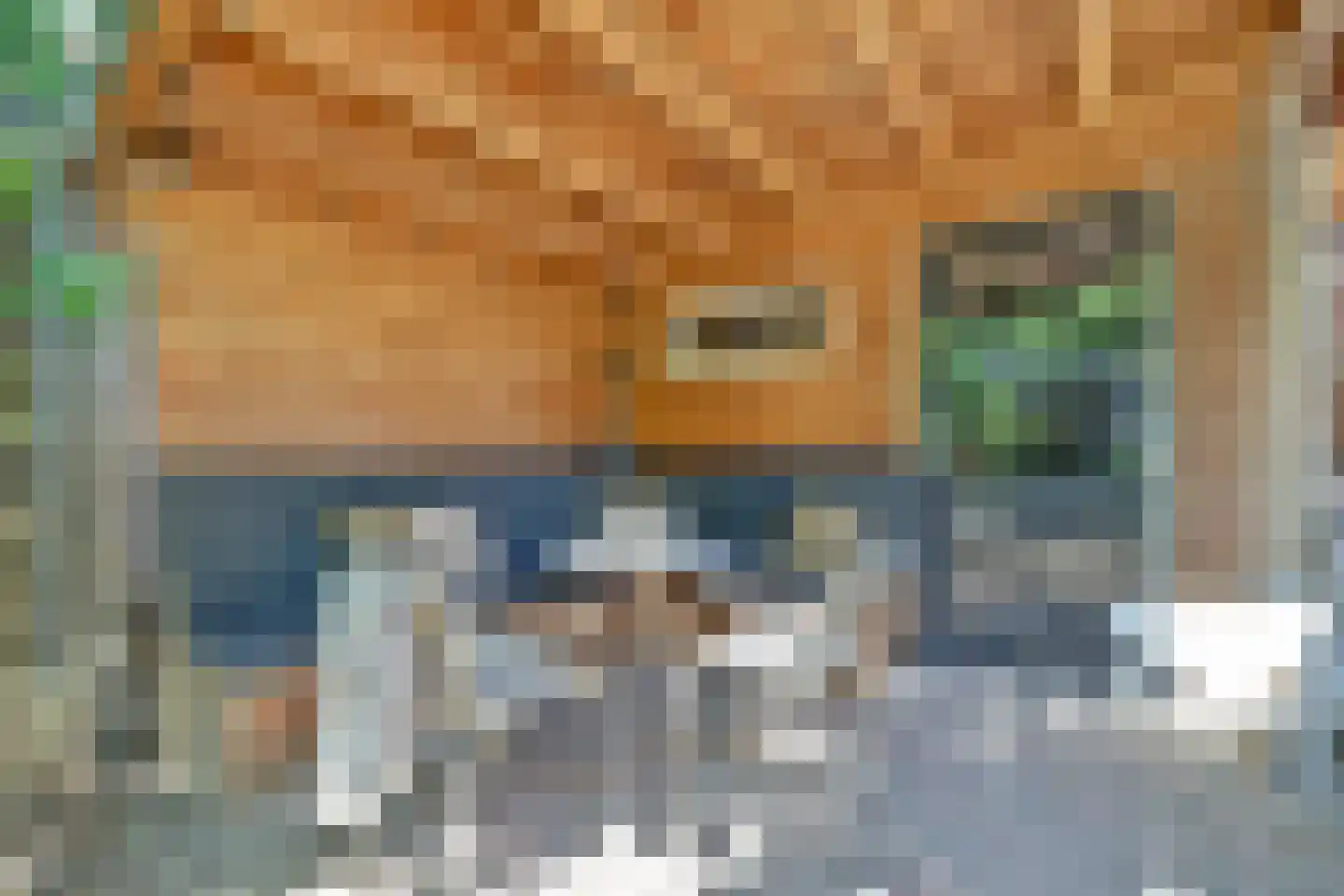 Grotestraat 81 Cuijk thumbnail 70