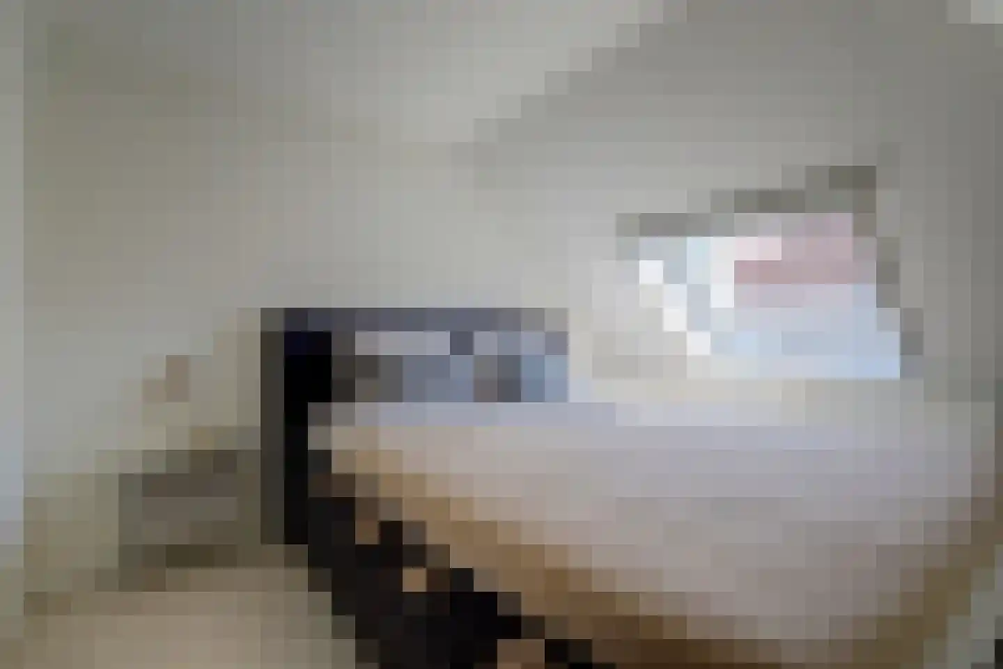 Grotestraat 81 Cuijk thumbnail 8