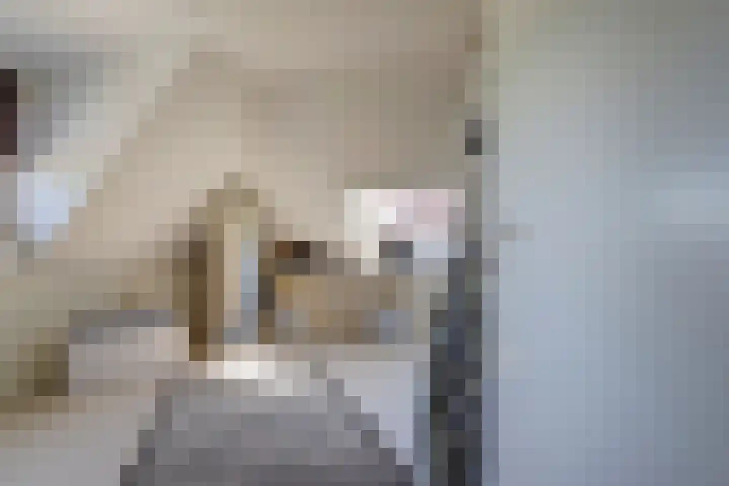 Grotestraat 81 Cuijk thumbnail 9