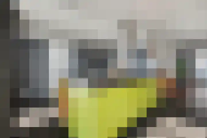 Grotestraat 83 Drunen thumbnail 13