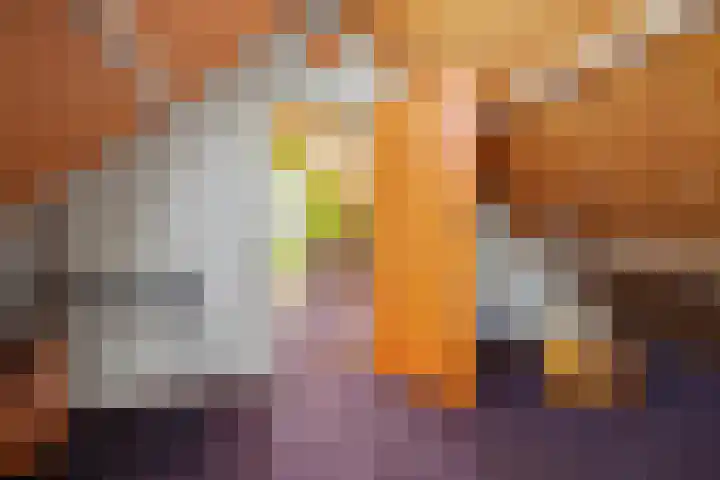 Grotestraat 83 Drunen thumbnail 40