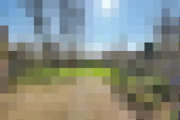 Grotestraat 83 Drunen thumbnail 43