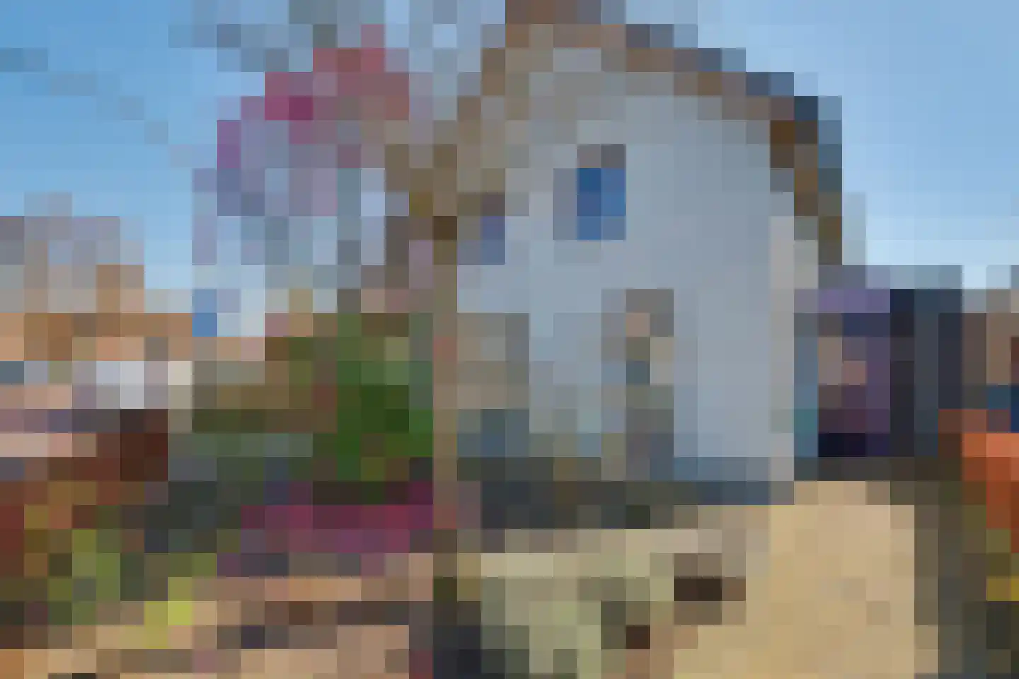 Grotestraat 83 Drunen thumbnail 59