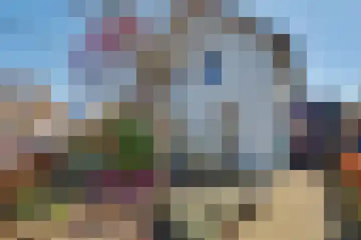 Grotestraat 83 Drunen thumbnail 59