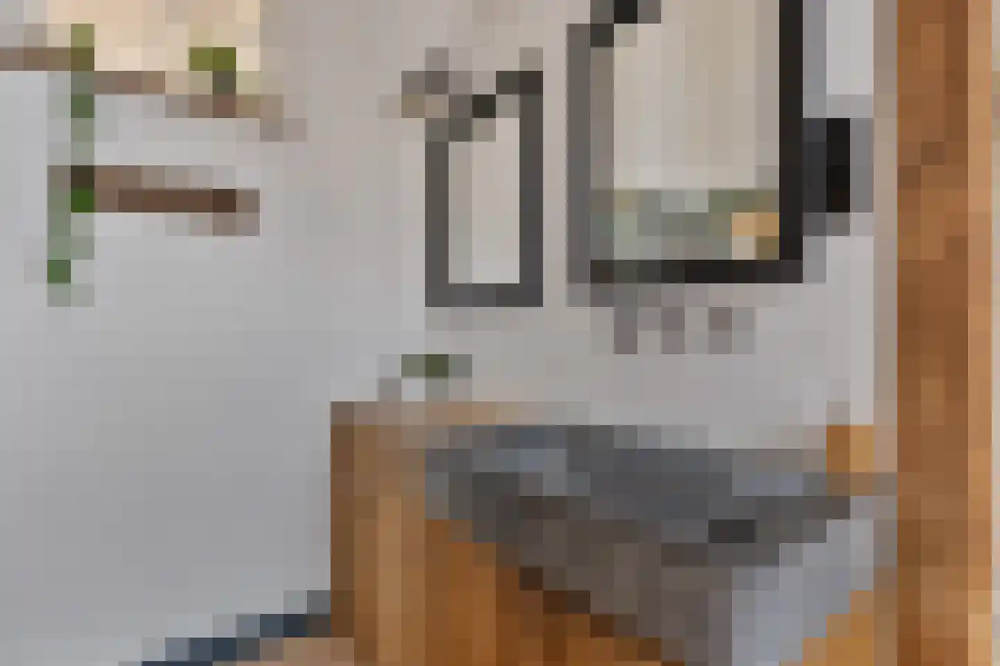 Grotestraat 84 Tegelen thumbnail 17