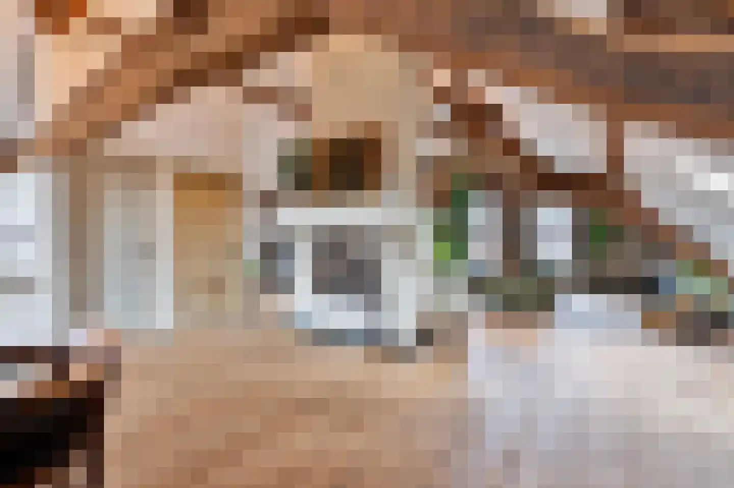 Grotestraat 84 Tegelen thumbnail 4