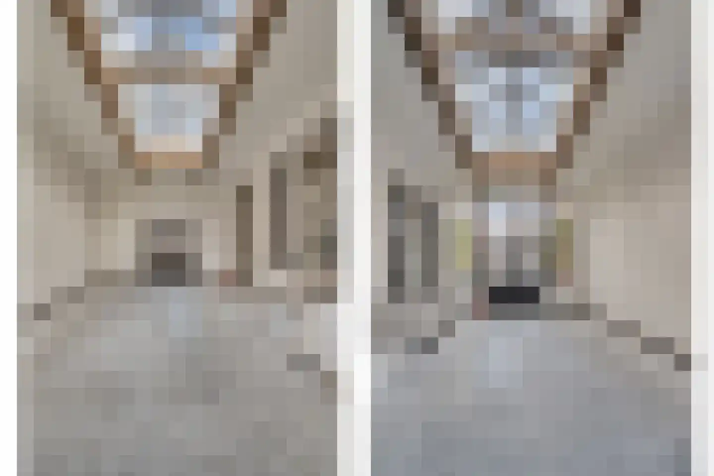 Grotestraat 84 Tegelen thumbnail 43
