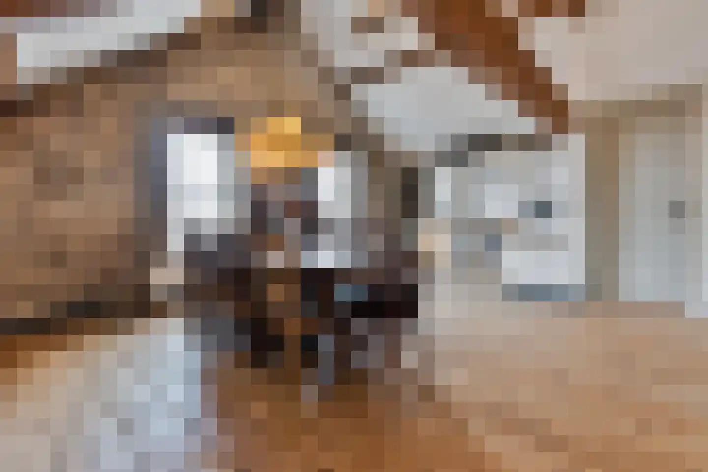 Grotestraat 84 Tegelen thumbnail 9