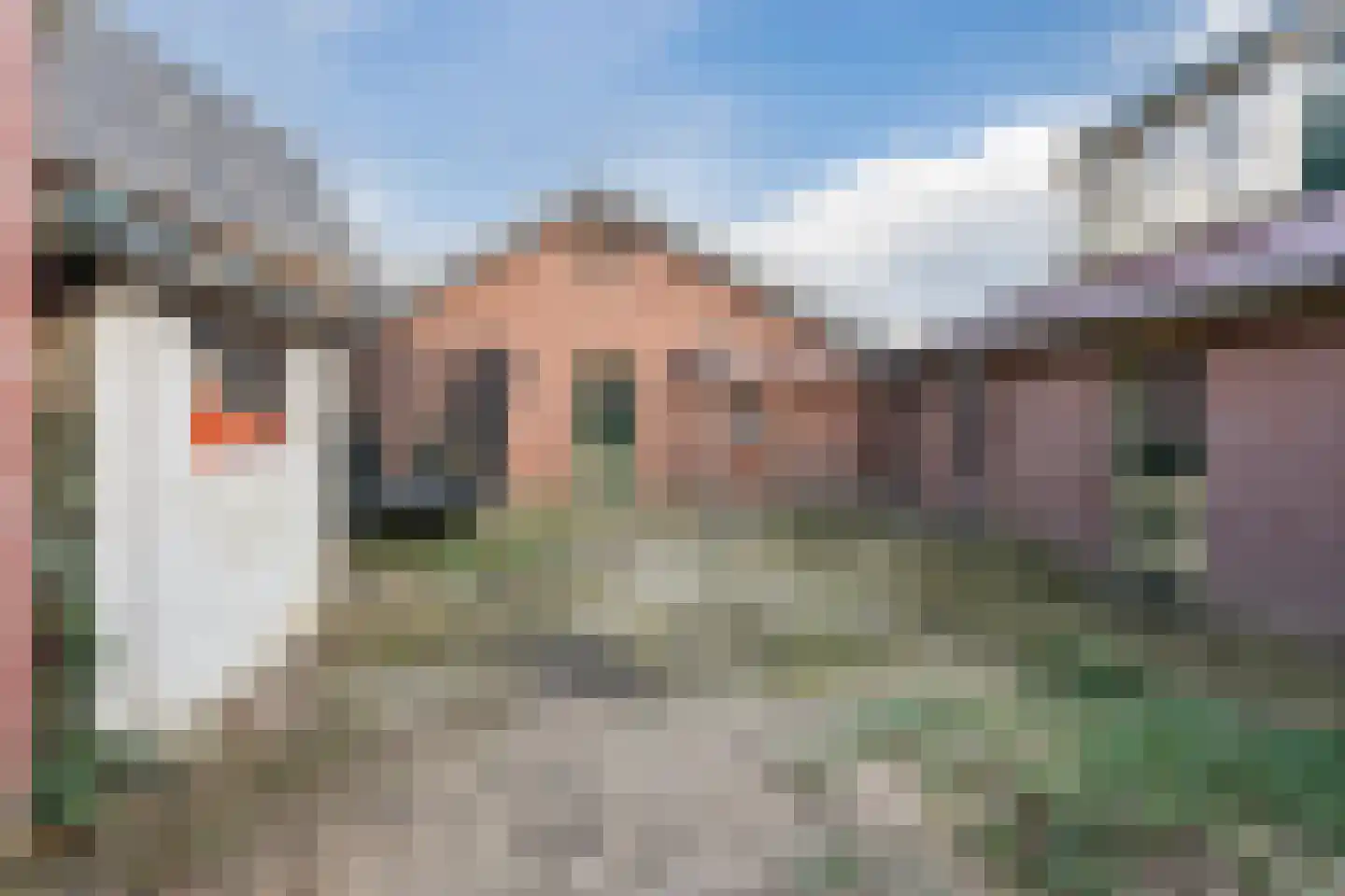Grotestraat 9 a Beers NB thumbnail 17