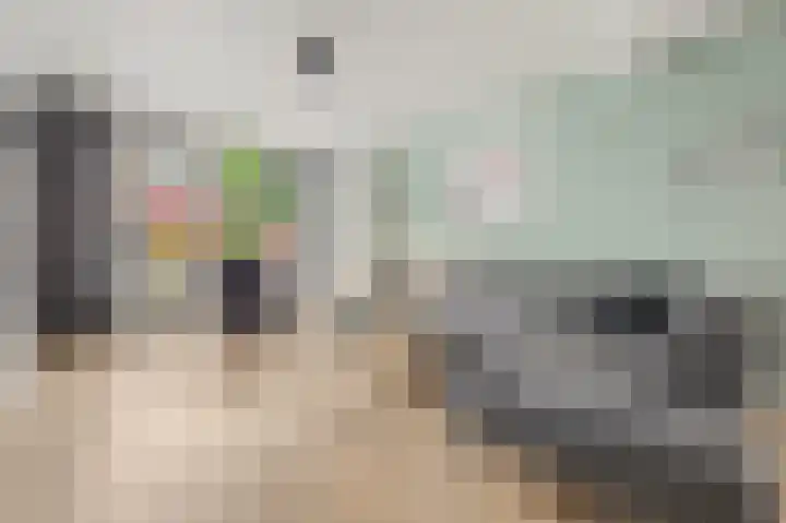 Grotestraat 91 Waalwijk thumbnail 7