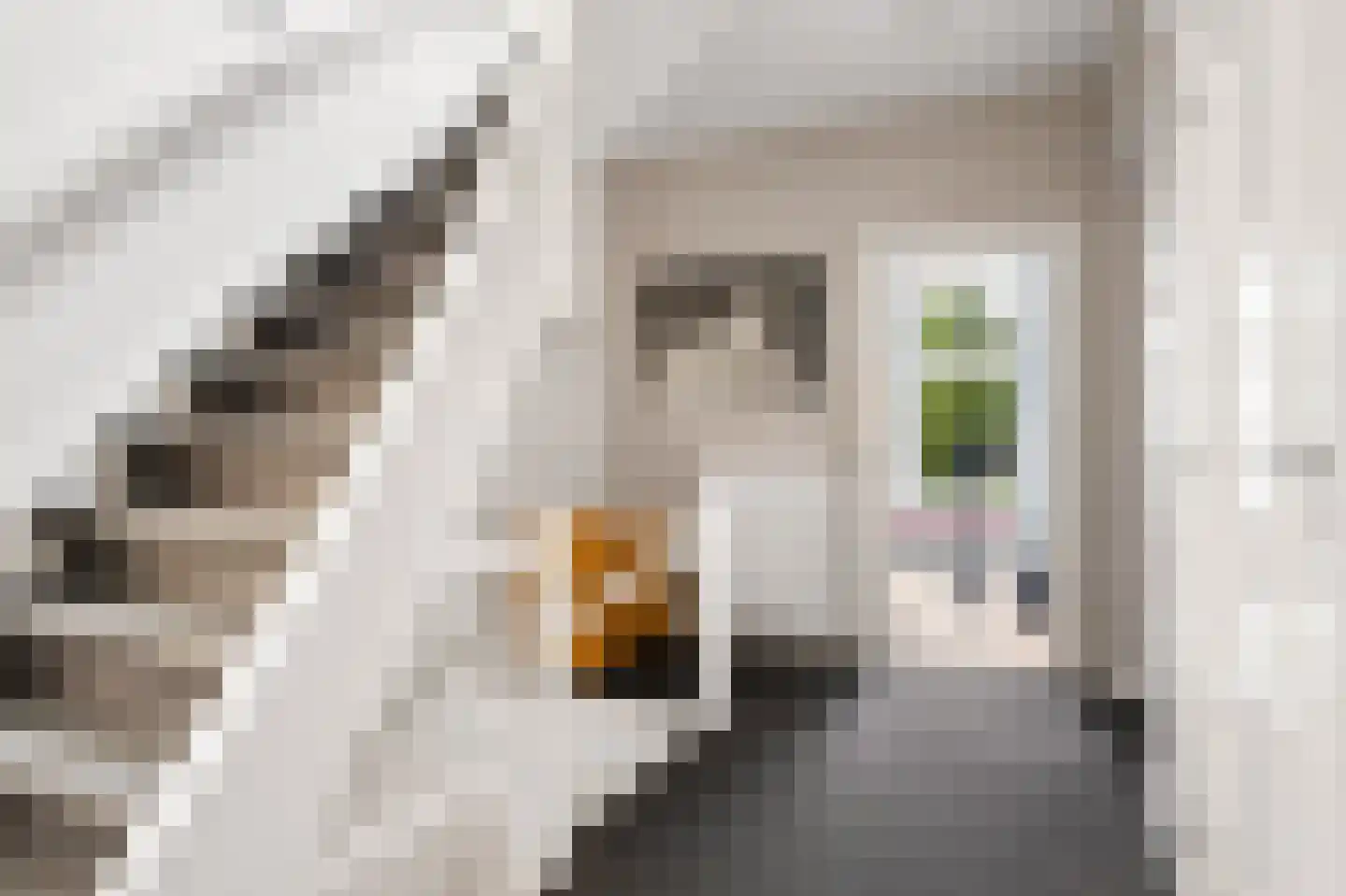 Grotestraat 95 Eibergen thumbnail 47