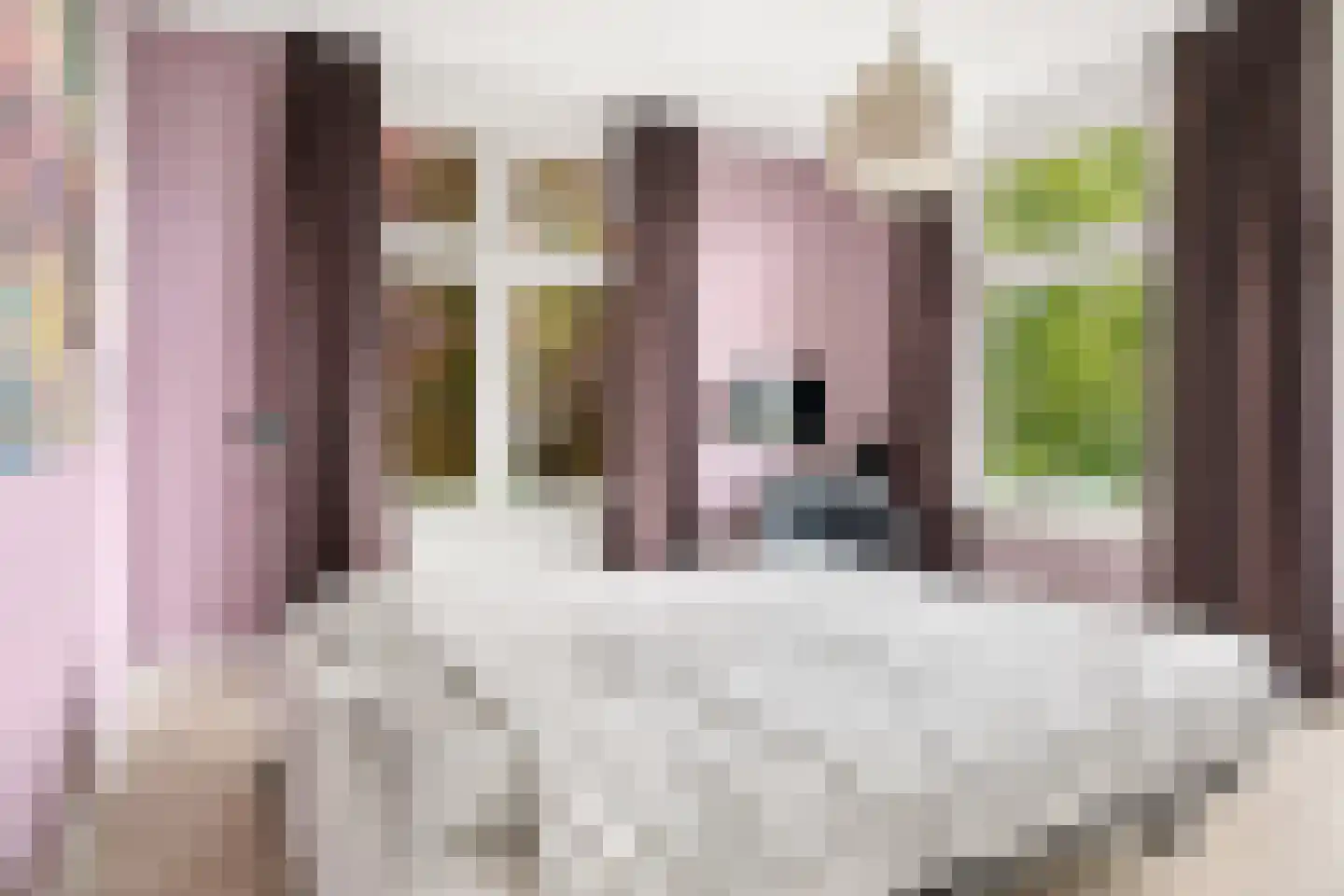 Grotestraat 95 Eibergen thumbnail 53