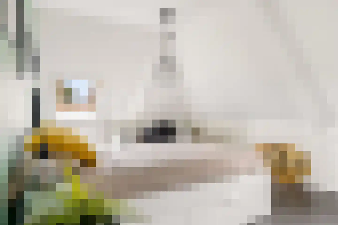 Grotestraat 95 Eibergen thumbnail 65